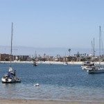 Annie Lane-MarinersPoint 022