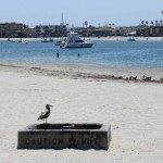 Annie Lane-MarinersPoint  118