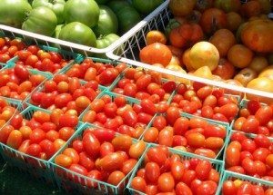 Tomato time!