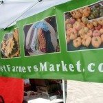 A day at the market