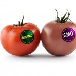 sdfp gmo0 label