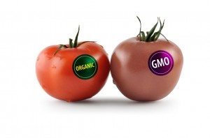 sdfp gmo0 label