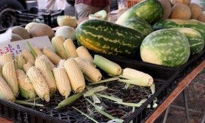 AnnieLane - OBFarmersMarket 016