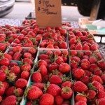 AnnieLane - OBFarmersMarket 017