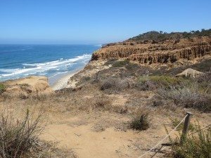 IMG_1510