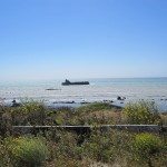 The luminescent Pacific