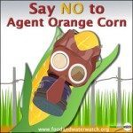 sdfp agent-orange-corn