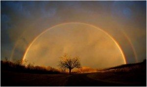 sdfp dark side of the rainbow