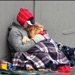 sdfp homeless-dog1