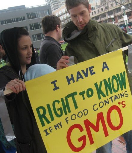 sdfp no gmos 2