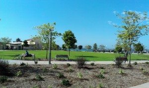 2012-09-20 10.10.02