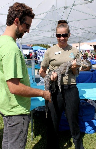 AnnieLane - Politifest2012 104