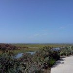IMG_20120831_102726