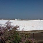IMG_20120831_105048