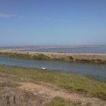 IMG_20120831_105444