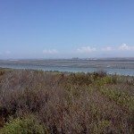 IMG_20120831_122046