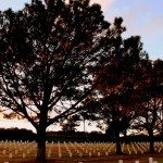 AnnieLane - FortRosecransCemetery 028