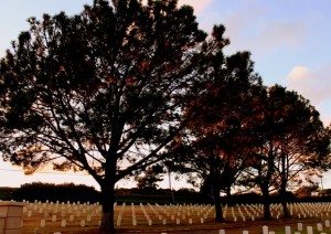 AnnieLane - FortRosecransCemetery 028