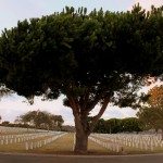 AnnieLane - FortRosecransCemetery 048