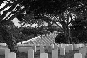 AnnieLane - FortRosecransCemetery 140