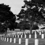 AnnieLane - FortRosecransCemetery 169
