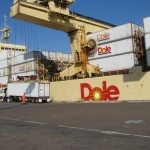 dole_t614