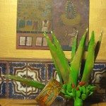 Guadalupe Drive By Cuff Alexia Markarian