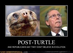 demotivational_posters_post_turtle