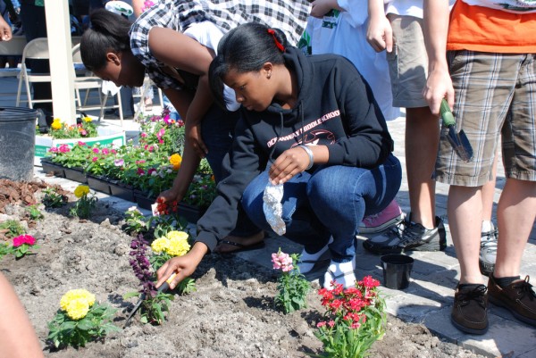 Community garden Jaxport via Flickr