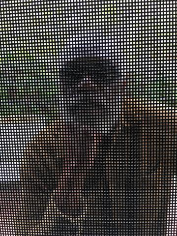 Ernie with sunglasses behind screen